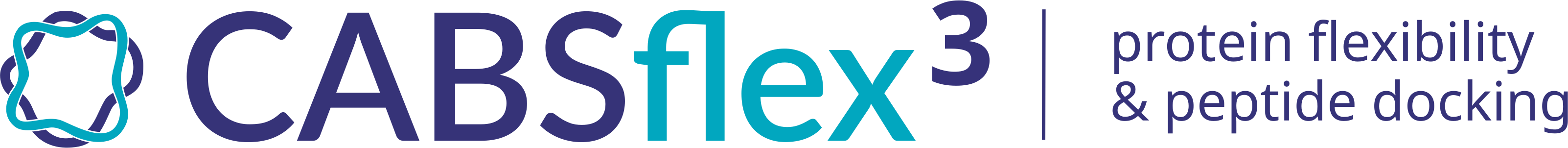 CABS-flex logo