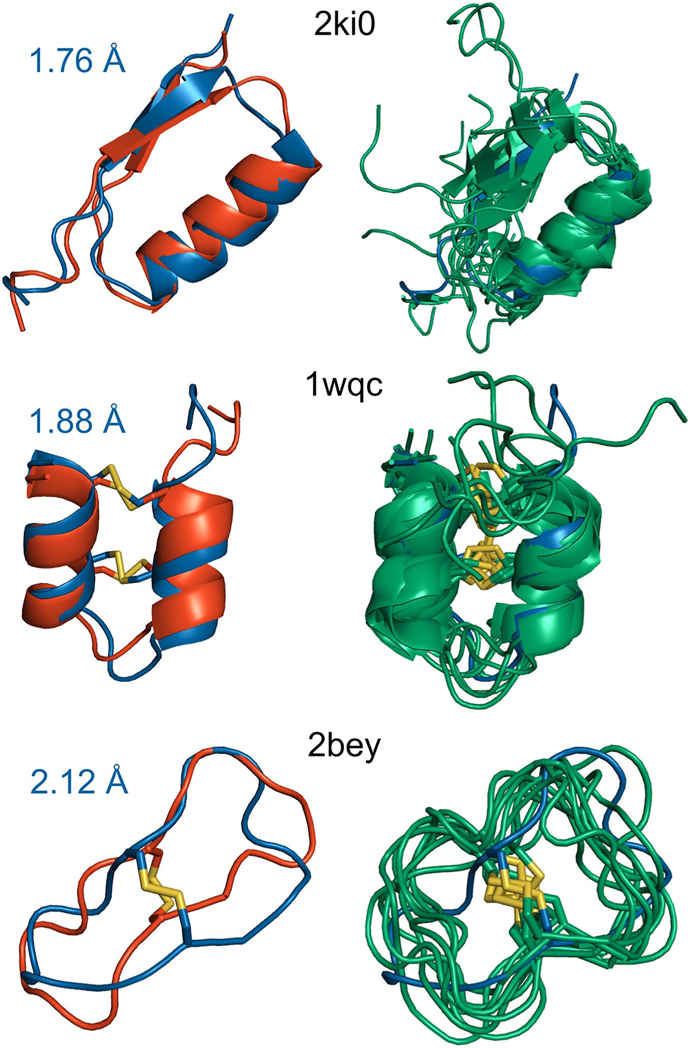 Example peptide structure predictions with CABS-flex.