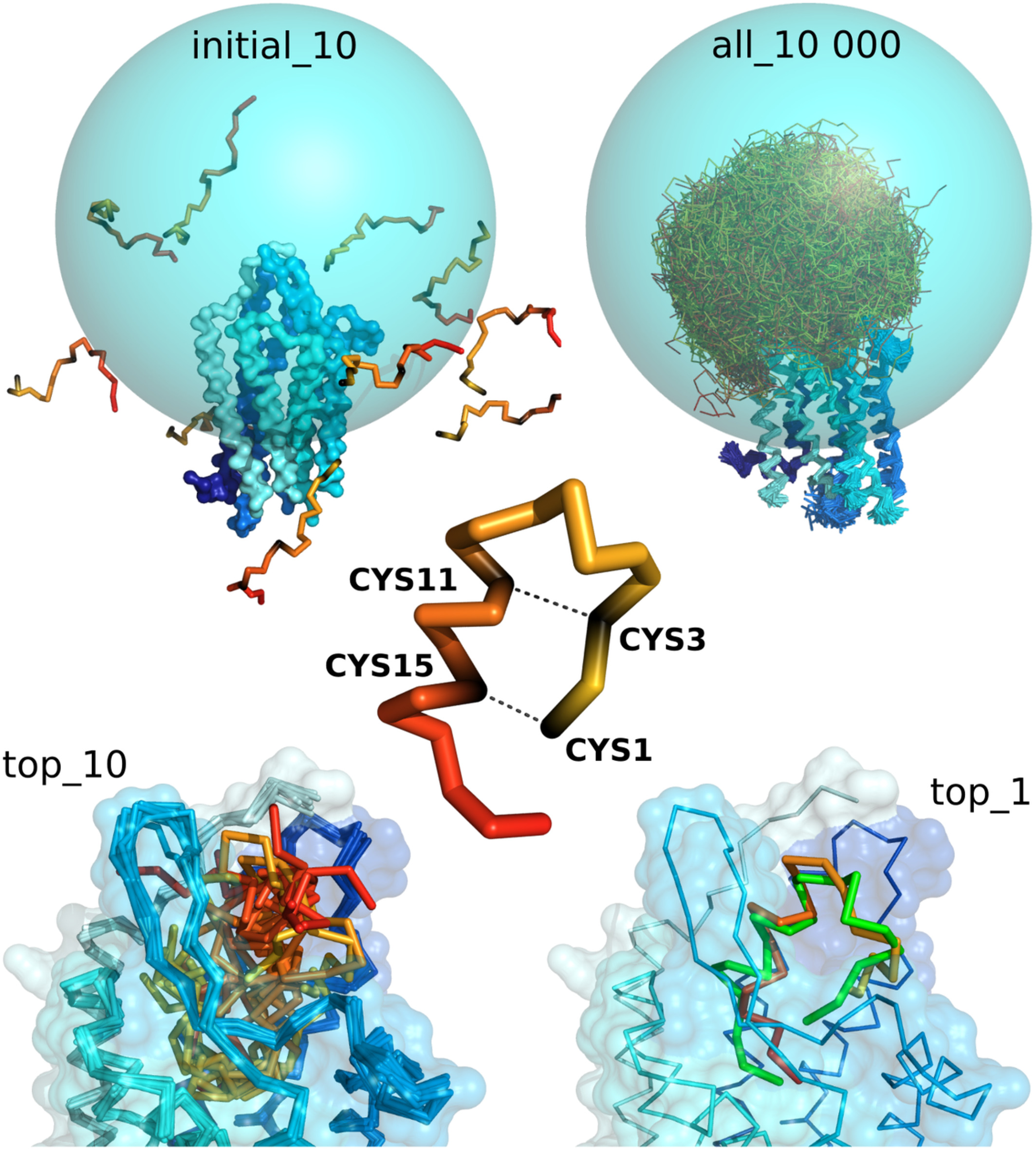 Peptide docking to GPCRs