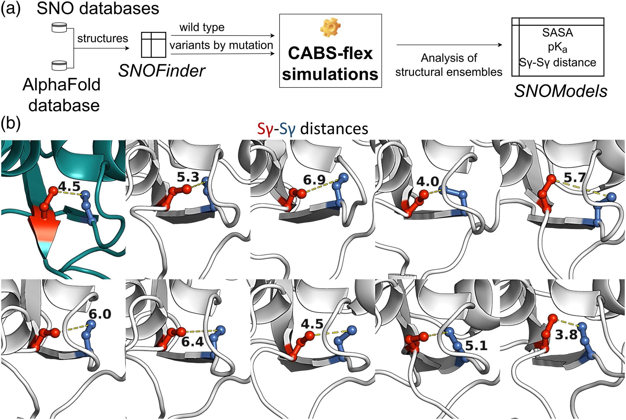 S-nitrosylation prediction workflow